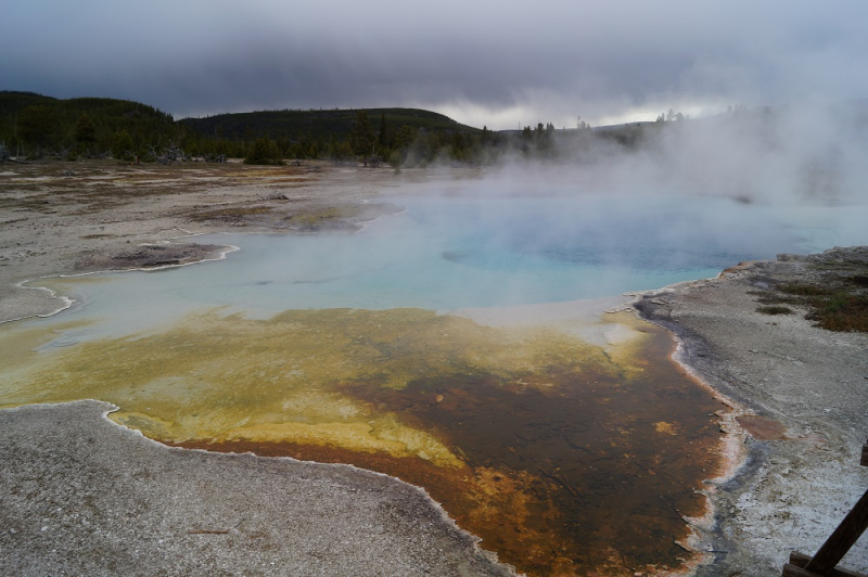 Автопутешествие по Западу: Los-Angeles (+San-Diego), Zion Canyon, Bryce Canyon, Salt-Lake City, Yellowstone, Las-Vegas.