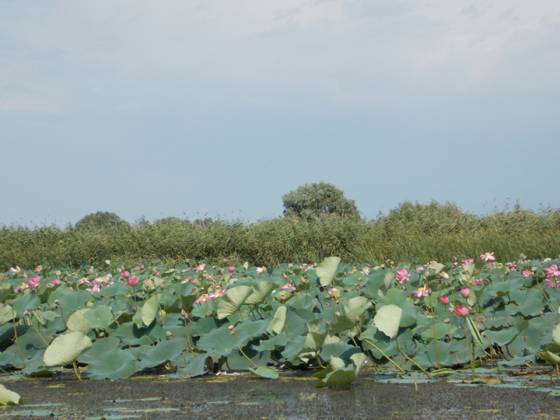 От Перми до Астрахани