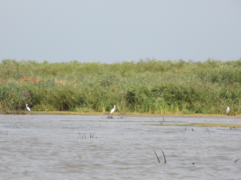 От Перми до Астрахани