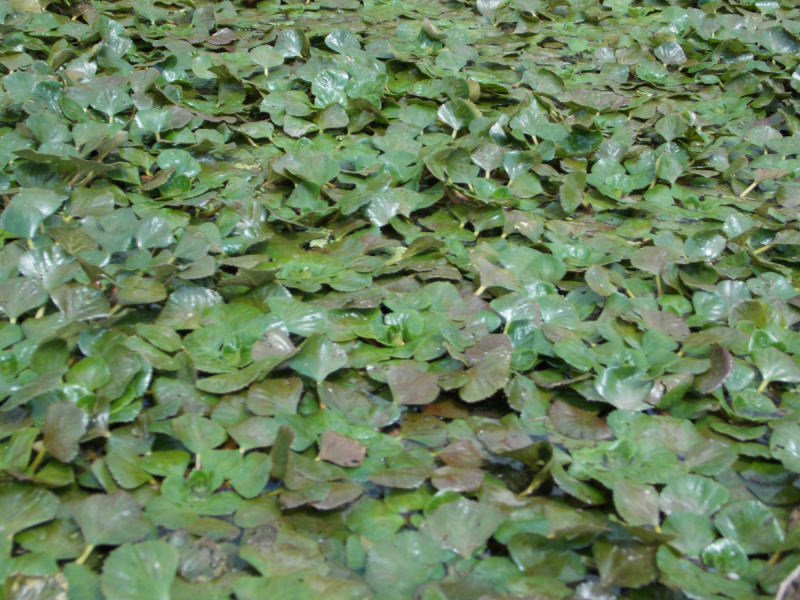 От Перми до Астрахани