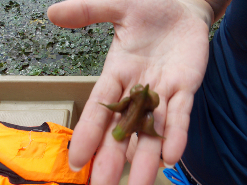 От Перми до Астрахани