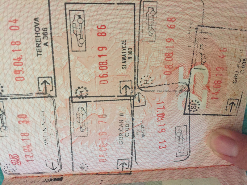 Как путешествовать с собакой в машине