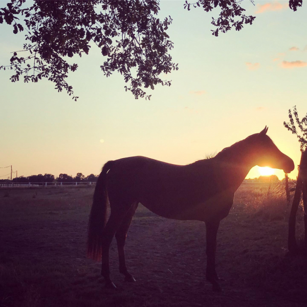 Наперегонки с летом. Москва-Хорватия-Испания-Москва и все, что между ними.