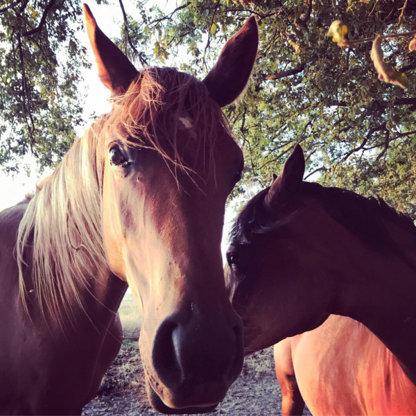 Наперегонки с летом. Москва-Хорватия-Испания-Москва и все, что между ними.