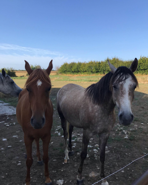 Наперегонки с летом. Москва-Хорватия-Испания-Москва и все, что между ними.
