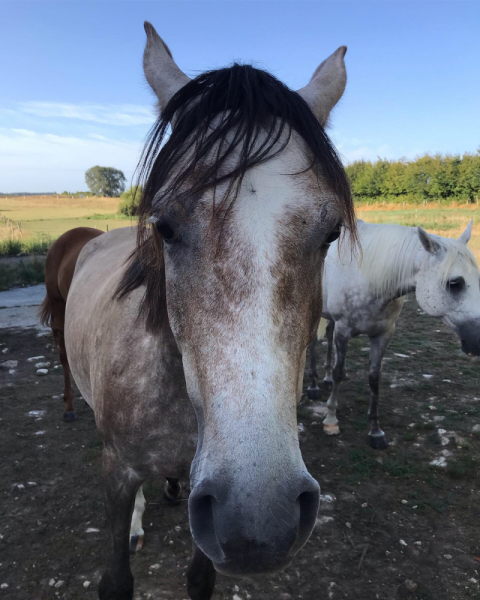 Наперегонки с летом. Москва-Хорватия-Испания-Москва и все, что между ними.