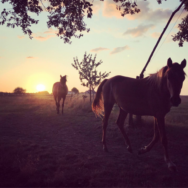 Наперегонки с летом. Москва-Хорватия-Испания-Москва и все, что между ними.
