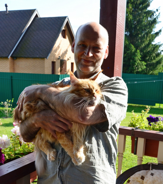 Кошки в нашей жизни. Кошки и все, что с ними связано.