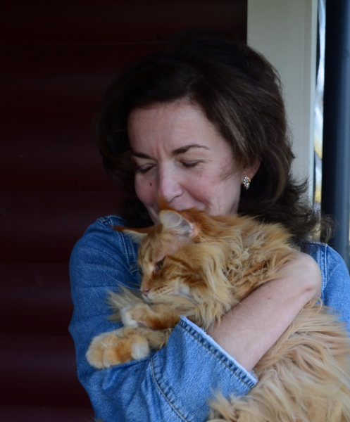 Кошки в нашей жизни. Кошки и все, что с ними связано.