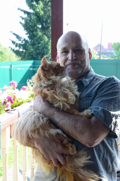 Кошки в нашей жизни. Кошки и все, что с ними связано.