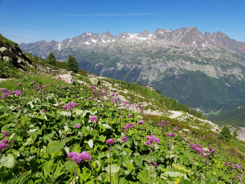 Вокруг и около Mont Blanc