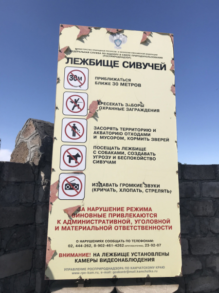 Камчатка. Июль-август 2019