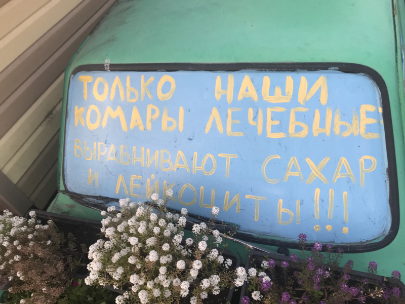 Камчатка. Июль-август 2019