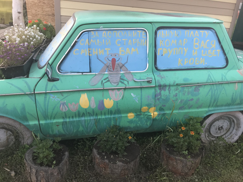 Камчатка. Июль-август 2019