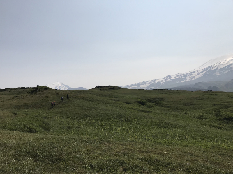 Камчатка. Июль-август 2019