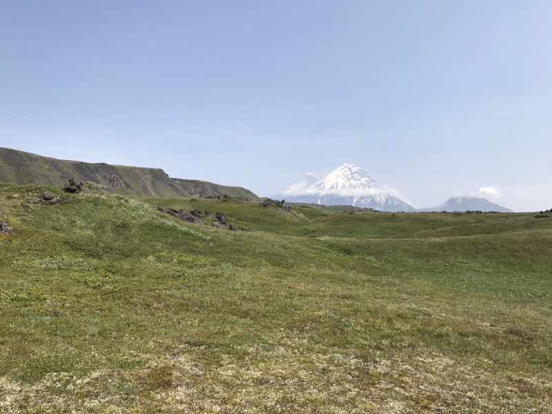 Камчатка. Июль-август 2019