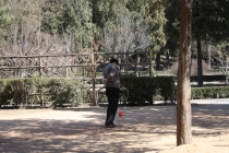 Триптих «Пекин – Лицзян – Чэнду»