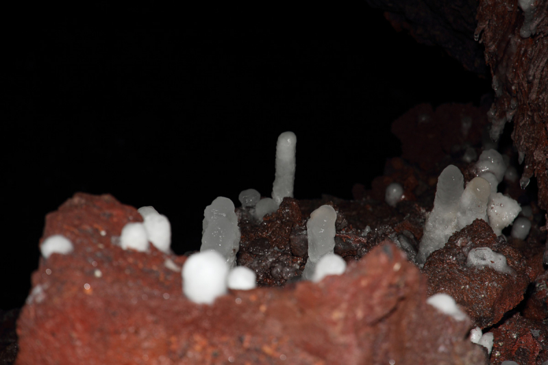 Камчатка. Июль-август 2019