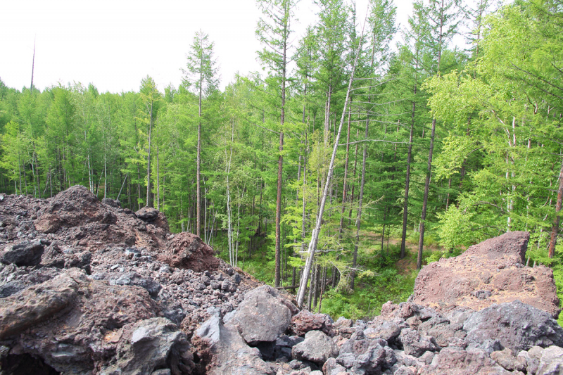 Камчатка. Июль-август 2019