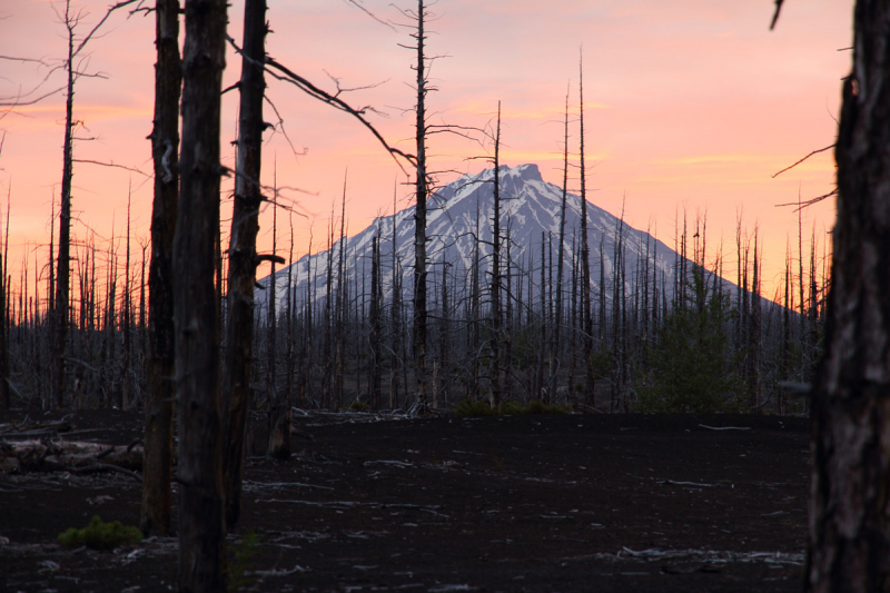 Камчатка. Июль-август 2019