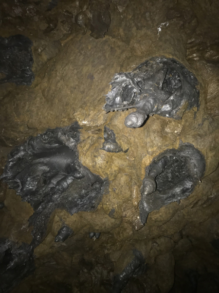 Камчатка. Июль-август 2019