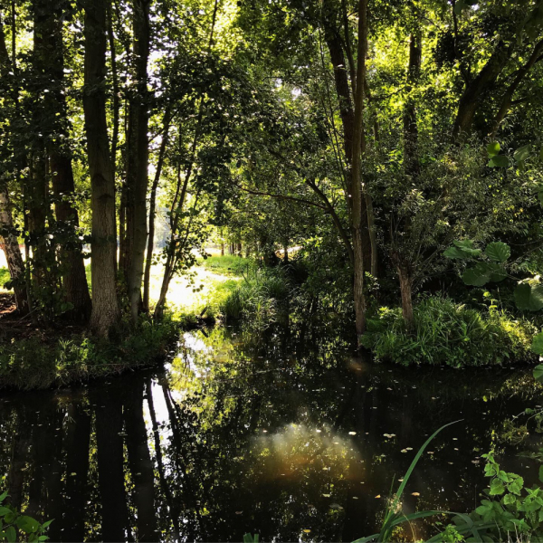 Наперегонки с летом. Москва-Хорватия-Испания-Москва и все, что между ними.