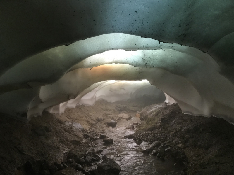 Камчатка. Июль-август 2019