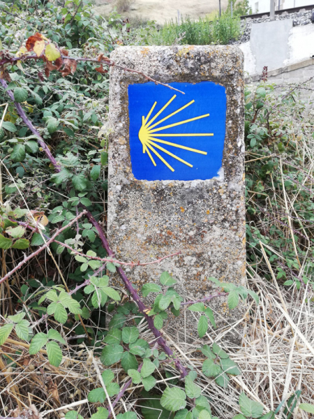 Camino de Santiago. Arle - Aragorn через Пиренеи. Август 2019