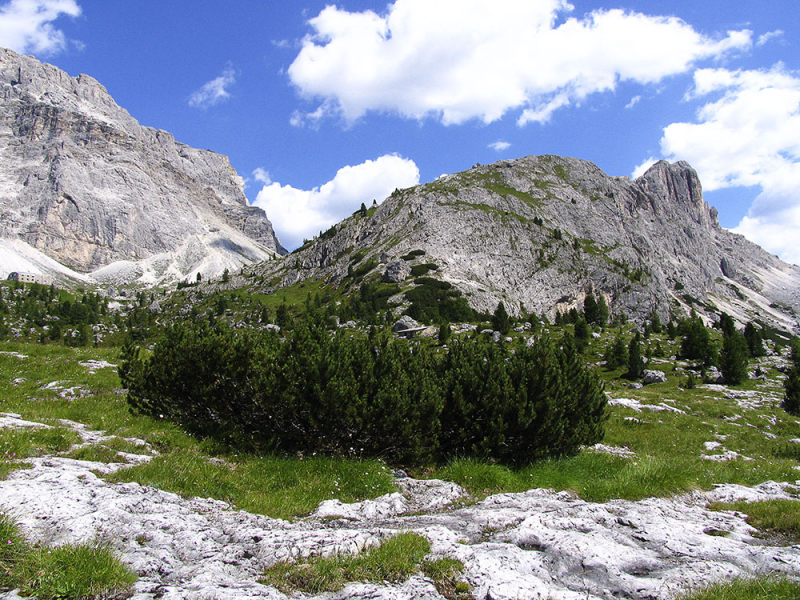 Трекинг в Доломитовых Альпах №2: Dolomiti Ampezzane, Sextener, Val  Gardena, Val Badia.