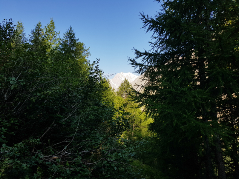 Вокруг и около Mont Blanc