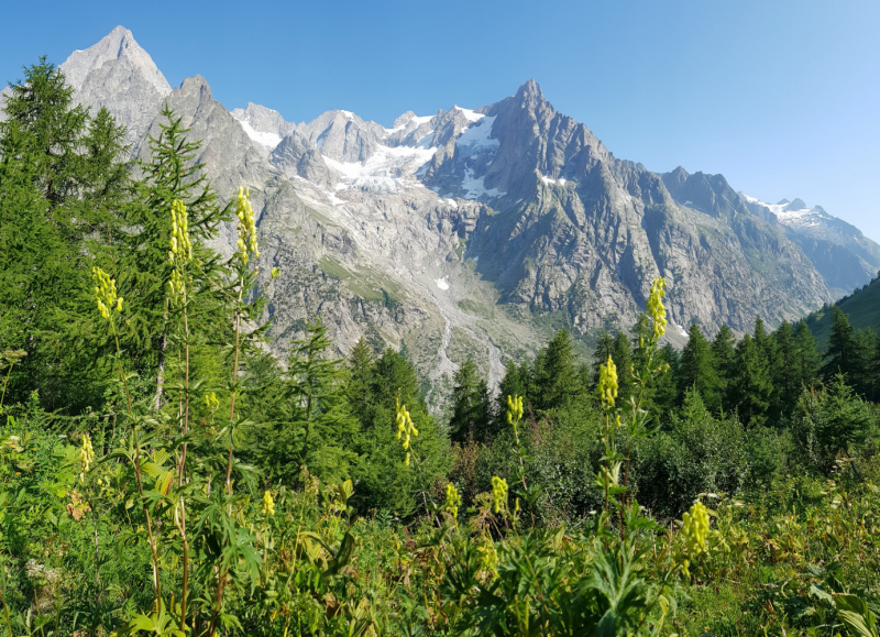 Вокруг и около Mont Blanc