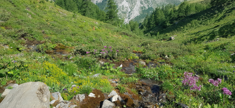 Вокруг и около Mont Blanc