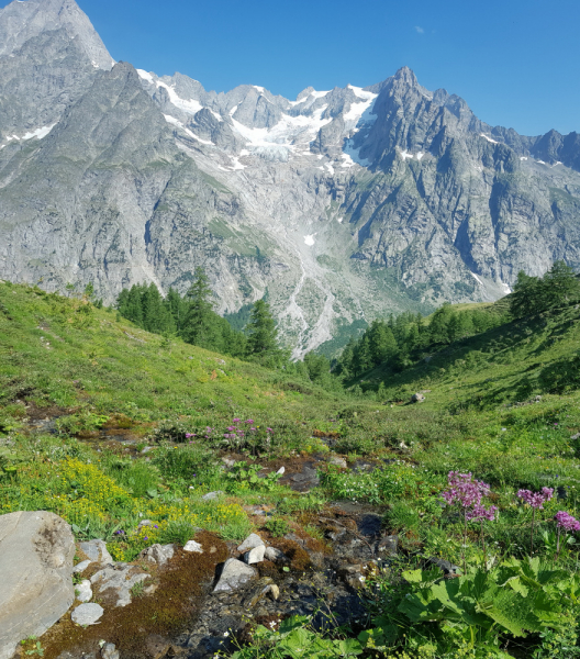 Вокруг и около Mont Blanc