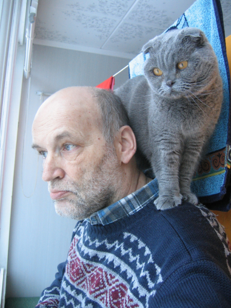 Кошки в нашей жизни. Кошки и все, что с ними связано.