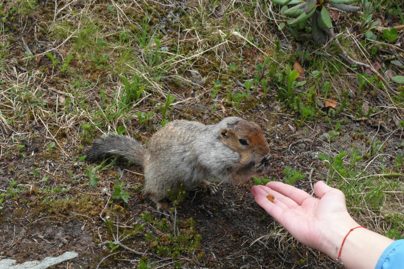 Камчатка в июле 2019 года – практическая информация