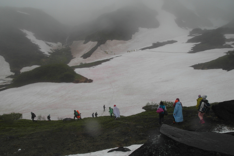 Камчатка в июле 2019 года – практическая информация