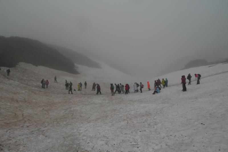 Камчатка в июле 2019 года – практическая информация