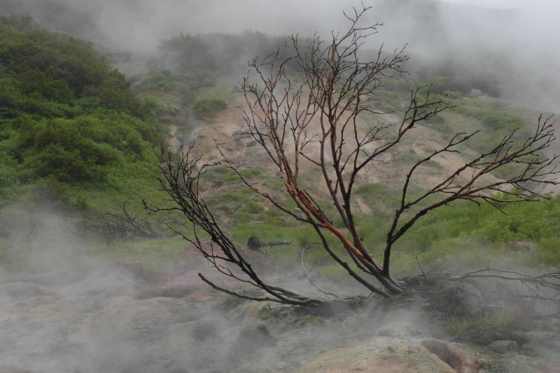 Камчатка в июле 2019 года – практическая информация