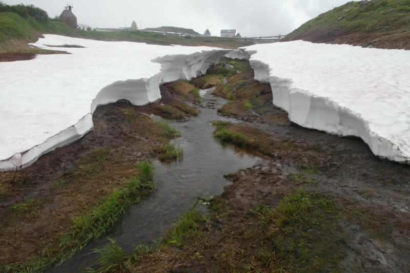 Камчатка в июле 2019 года – практическая информация