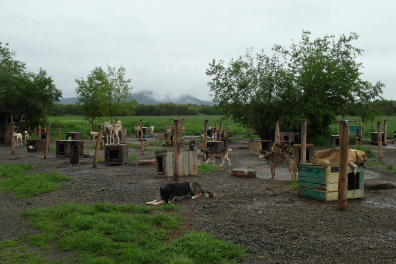 Камчатка в июле 2019 года – практическая информация