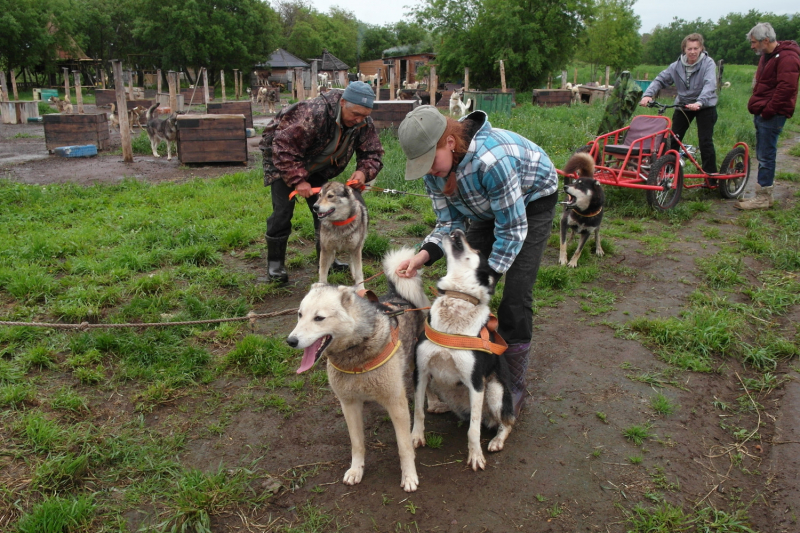 Камчатка в июле 2019 года – практическая информация