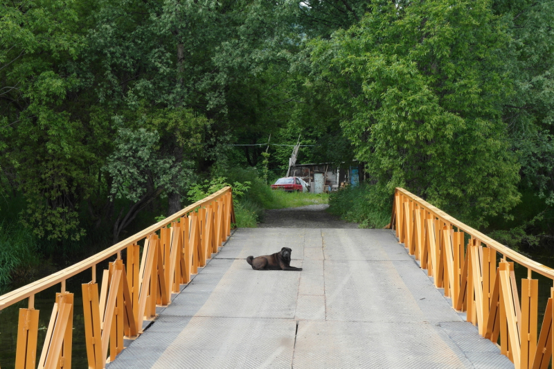 Камчатка в июле 2019 года – практическая информация