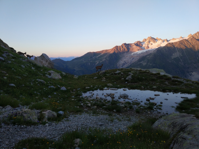 Walker’s Haute Route. Из Шамони в Церматт за 9 дней.