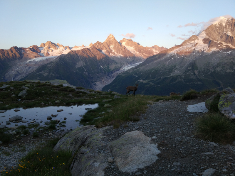 Walker’s Haute Route. Из Шамони в Церматт за 9 дней.