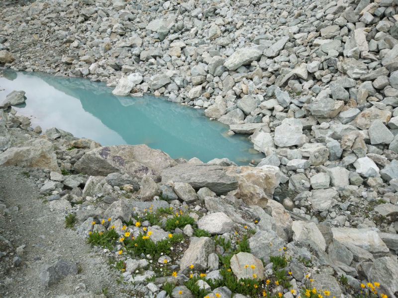 Walker’s Haute Route. Из Шамони в Церматт за 9 дней.