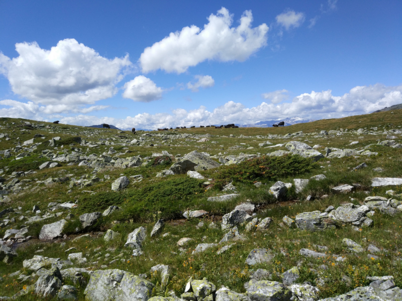 Walker’s Haute Route. Из Шамони в Церматт за 9 дней.