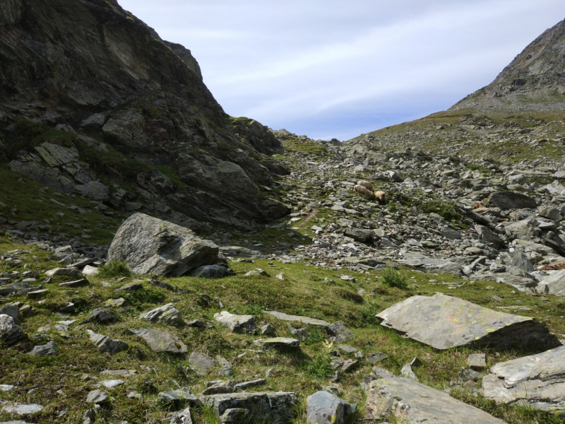 Walker’s Haute Route. Из Шамони в Церматт за 9 дней.