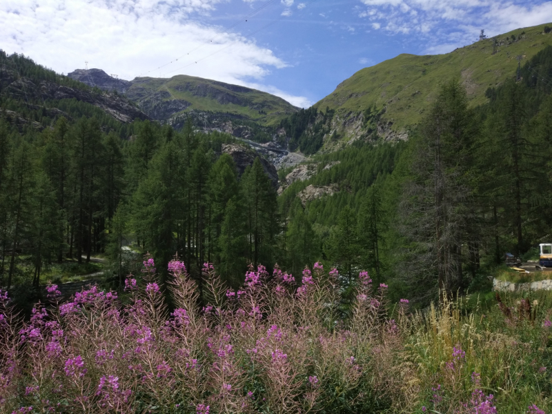 Walker’s Haute Route. Из Шамони в Церматт за 9 дней.