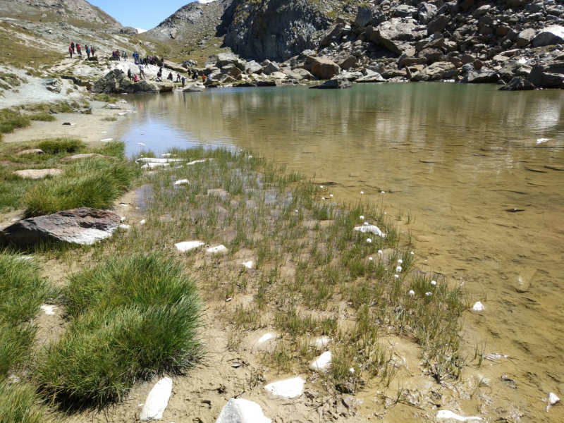 Walker’s Haute Route. Из Шамони в Церматт за 9 дней.