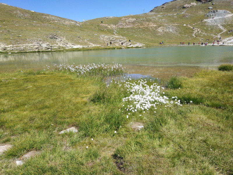 Walker’s Haute Route. Из Шамони в Церматт за 9 дней.